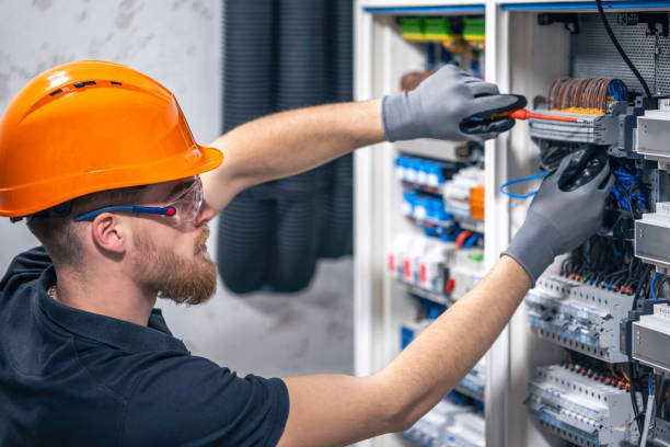 Best Electric Panel Repair  in Carlyss, LA